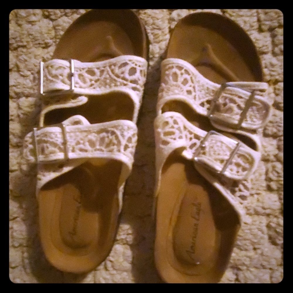 American eagle slides